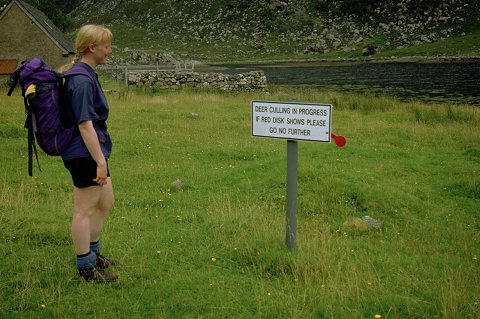 The sign indicating deer culling in progress