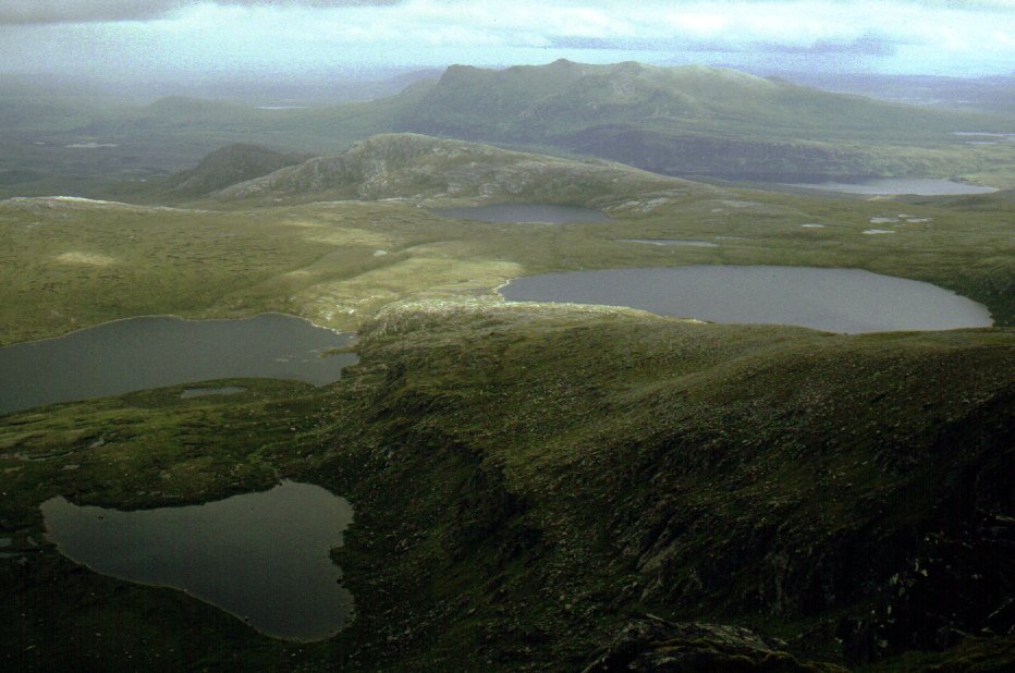 East to Ben Loyal