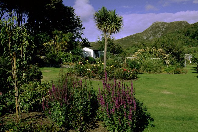 The gardens 2
