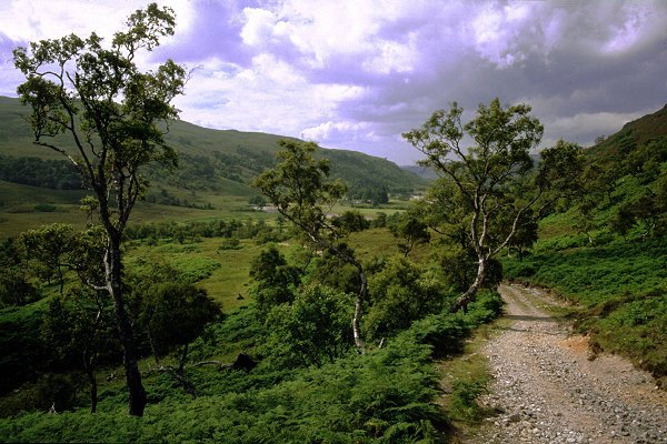 Back on the track in Glen Achall