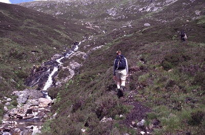 Cascades on the path