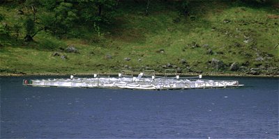Fish Farm nets on Loch Shiel