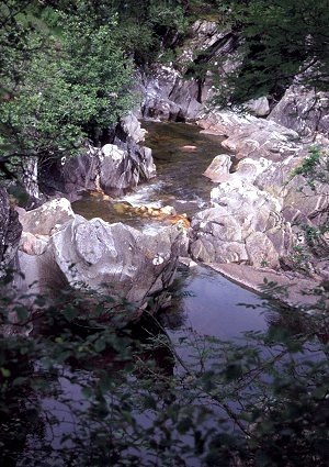 Cascades in the Gorges
