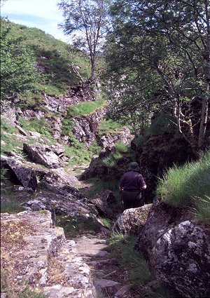 The Dry Gorge taken by the Path