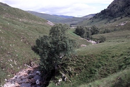 Final stretch of River