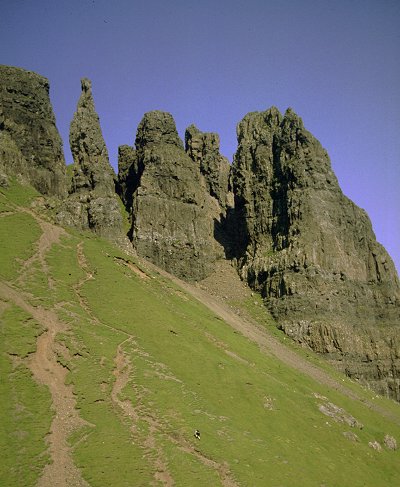 The Needle from The Prison
