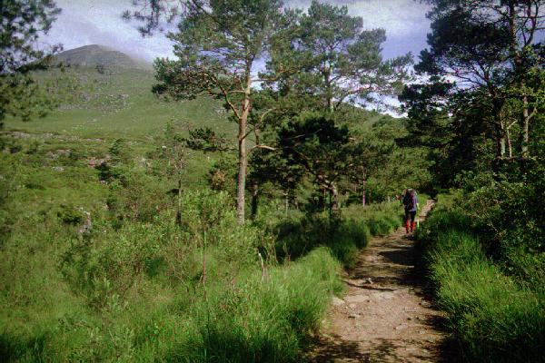 Start of the Coire Mhic Nobuil path