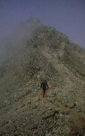 On the ridge in the mist