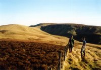 Looking at Windy Gyle