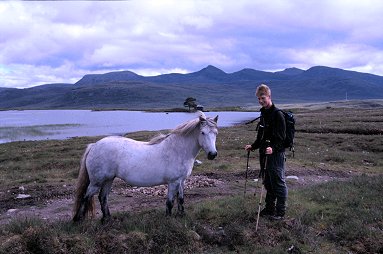 Andrew makes a new friend on a walk over Rannoch
