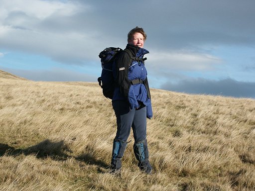 Windy day on the Cheviot tops, near Ingram